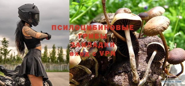 ГАЛЛЮЦИНОГЕННЫЕ ГРИБЫ Алексин