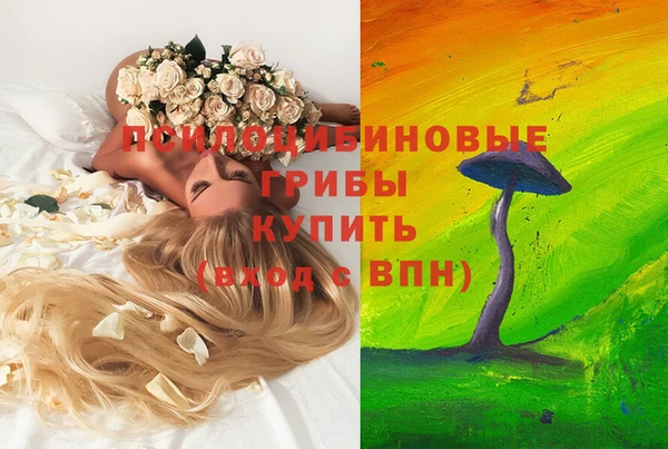 ешки Абаза