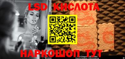 эйфоретик Гатчина