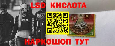 эйфоретик Гатчина