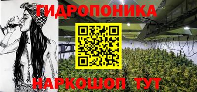 трава Гай