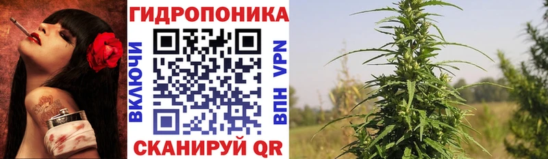 Канабис гибрид  Новочеркасск 
